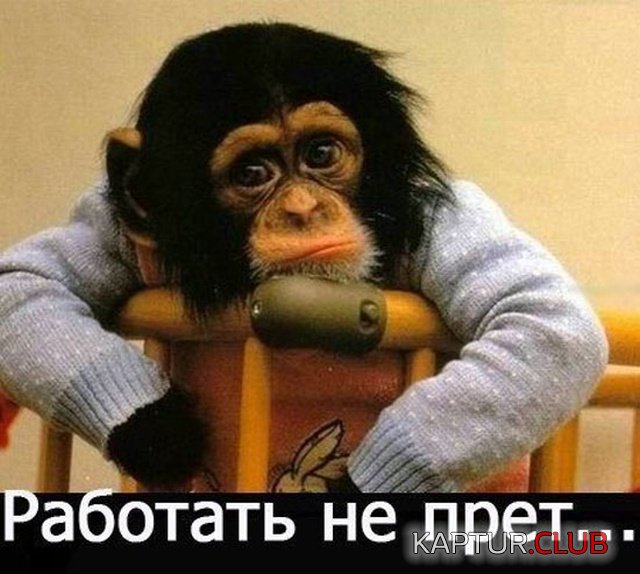 1547710806_dolgie_vihodnie_19.jpg | Рено Каптур Клуб Россия | Форум KAPTUR.SU