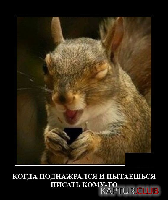 1547722162_demotivatory_15.jpg | Рено Каптур Клуб Россия | Форум KAPTUR.SU