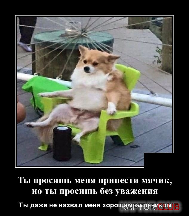 1547722183_demotivatory_21.jpg | Рено Каптур Клуб Россия | Форум KAPTUR.SU