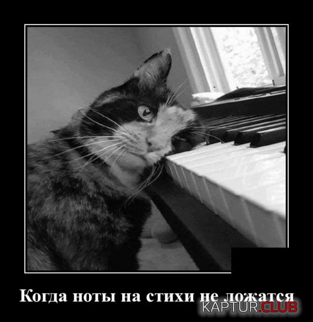 1547783508_demotivatory_27.jpg | Рено Каптур Клуб Россия | Форум KAPTUR.SU