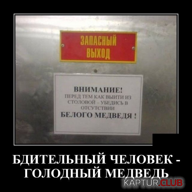 1547783558_demotivatory_06.jpg | Рено Каптур Клуб Россия | Форум KAPTUR.SU