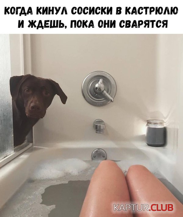 1547783607_podborka_vecher_10.jpg | Рено Каптур Клуб Россия | Форум KAPTUR.SU