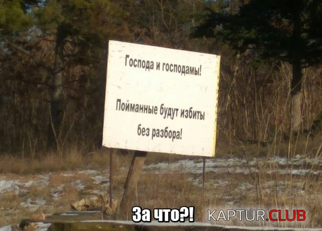 1548058586_1547335238_podborka_14.jpg | Рено Каптур Клуб Россия | Форум KAPTUR.SU