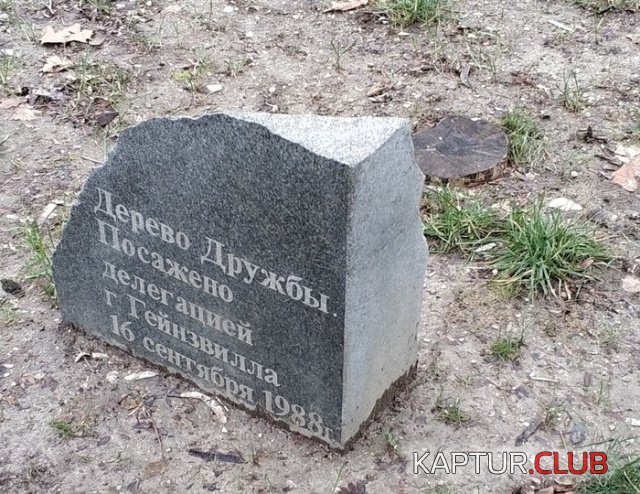 1548065669_podborka_dnevnaya_05.jpg | Рено Каптур Клуб Россия | Форум KAPTUR.SU