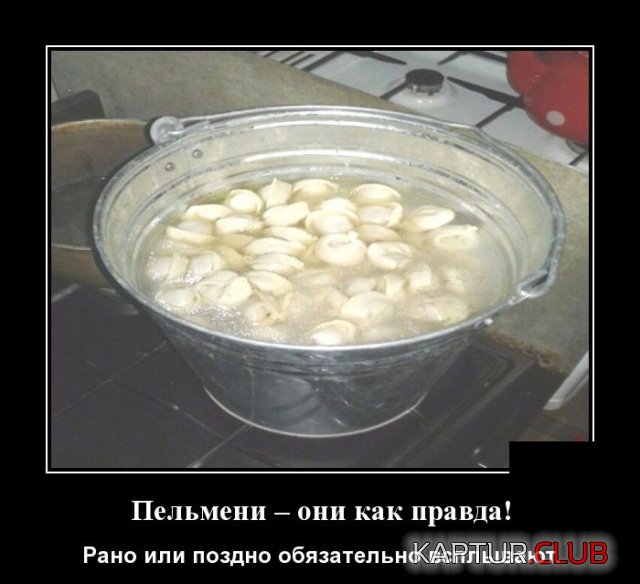 1548318104_demotivatory_23.jpg | Рено Каптур Клуб Россия | Форум KAPTUR.SU