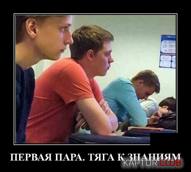 1548318157_demotivatory_14.jpg | Рено Каптур Клуб Россия | Форум KAPTUR.SU