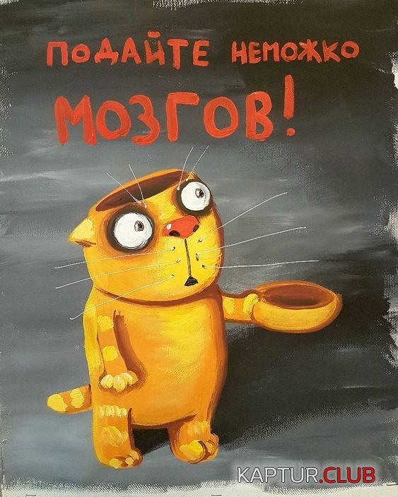 1548363003125120.jpg | Рено Каптур Клуб Россия | Форум KAPTUR.SU