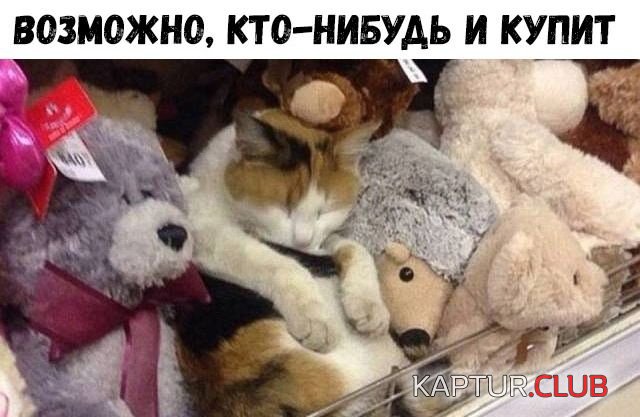 1548493638_podborka_20.jpg | Рено Каптур Клуб Россия | Форум KAPTUR.SU