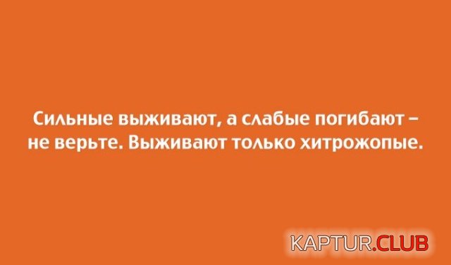 1548582874_otkritki_15.jpg | Рено Каптур Клуб Россия | Форум KAPTUR.SU