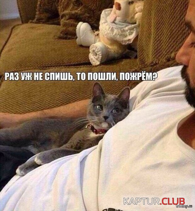 1549094667_kartinki_15.jpg | Рено Каптур Клуб Россия | Форум KAPTUR.SU