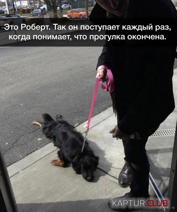1549094678_kartinki_02.jpg | Рено Каптур Клуб Россия | Форум KAPTUR.SU