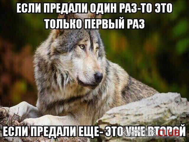 1549194503_shutki_23.jpg | Рено Каптур Клуб Россия | Форум KAPTUR.SU