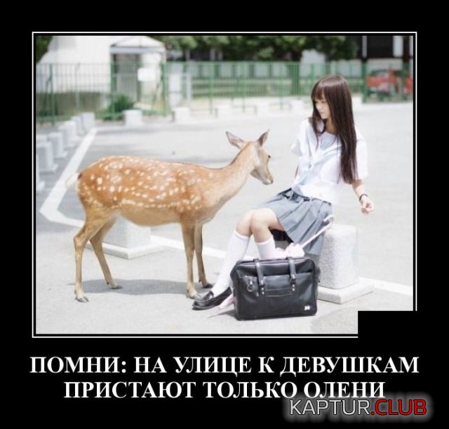 1549195534_demotivatory_14.jpg | Рено Каптур Клуб Россия | Форум KAPTUR.SU