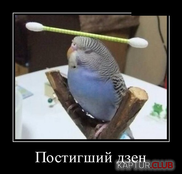 1549195549_demotivatory_16.jpg | Рено Каптур Клуб Россия | Форум KAPTUR.SU