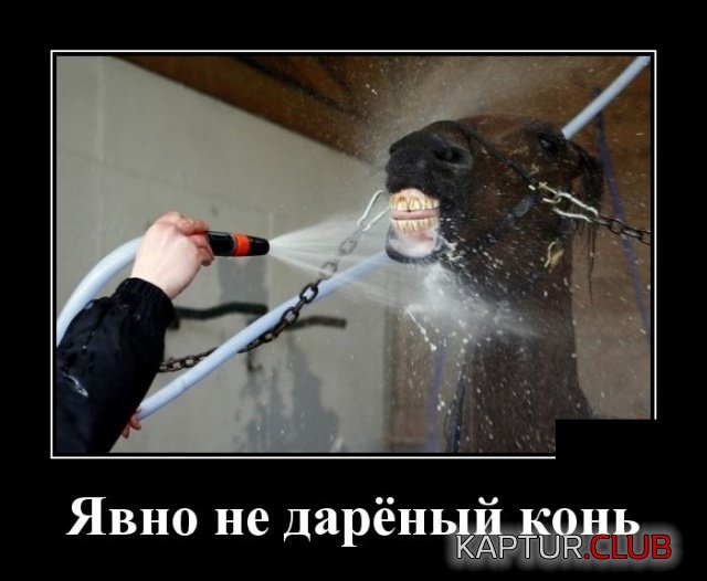 1549200313_demotivatory_06.jpg | Рено Каптур Клуб Россия | Форум KAPTUR.SU