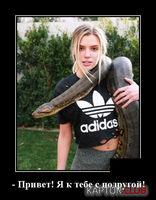 1549200366_demotivatory_12.jpg | Рено Каптур Клуб Россия | Форум KAPTUR.SU