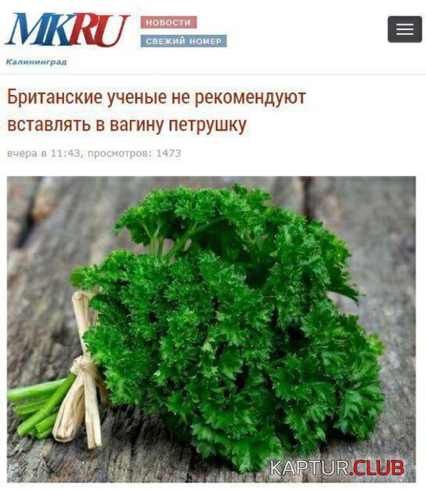 1549470321_zagolovok_novostey_11.jpg | Рено Каптур Клуб Россия | Форум KAPTUR.SU