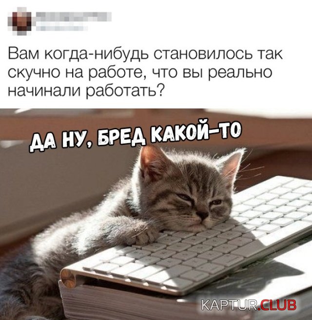 1549705269_kartinki_10.jpg | Рено Каптур Клуб Россия | Форум KAPTUR.SU