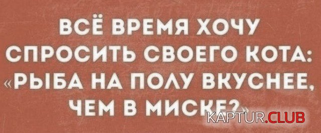 1549800713_nestandartniy_yumor_30.jpg | Рено Каптур Клуб Россия | Форум KAPTUR.SU