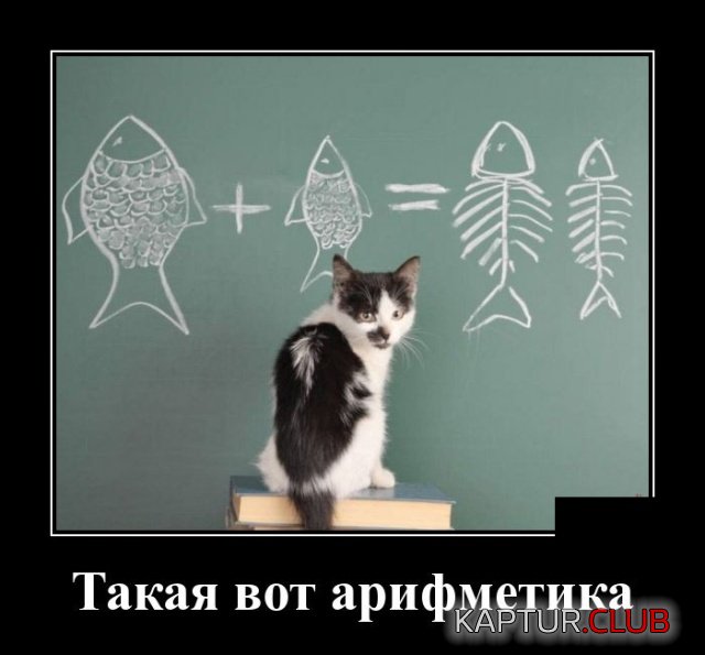 1549804911_demotivatory_08.jpg | Рено Каптур Клуб Россия | Форум KAPTUR.SU