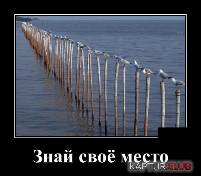 1549804938_demotivatory_25.jpg | Рено Каптур Клуб Россия | Форум KAPTUR.SU