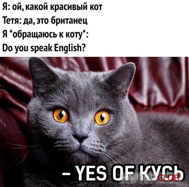 1550133569_podborka_dnevnaya_10.jpg | Рено Каптур Клуб Россия | Форум KAPTUR.SU