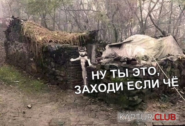 1550416388_podborka_vecher_05.jpg | Рено Каптур Клуб Россия | Форум KAPTUR.SU