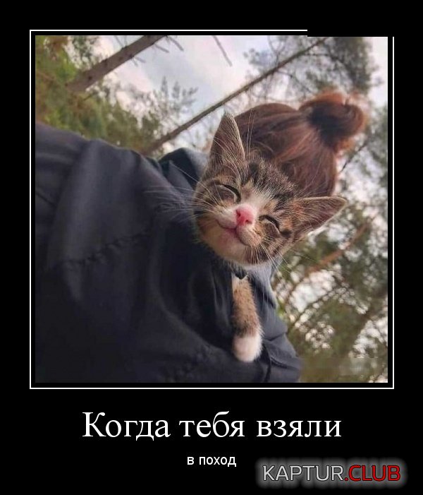 1550416404_demotivatory_22.jpg | Рено Каптур Клуб Россия | Форум KAPTUR.SU