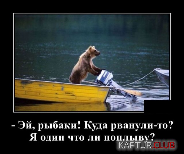 1550432877_demotivatory_29.jpg | Рено Каптур Клуб Россия | Форум KAPTUR.SU
