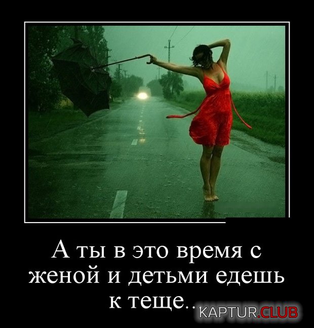 1551084521_demotivatory_11.jpg | Рено Каптур Клуб Россия | Форум KAPTUR.SU