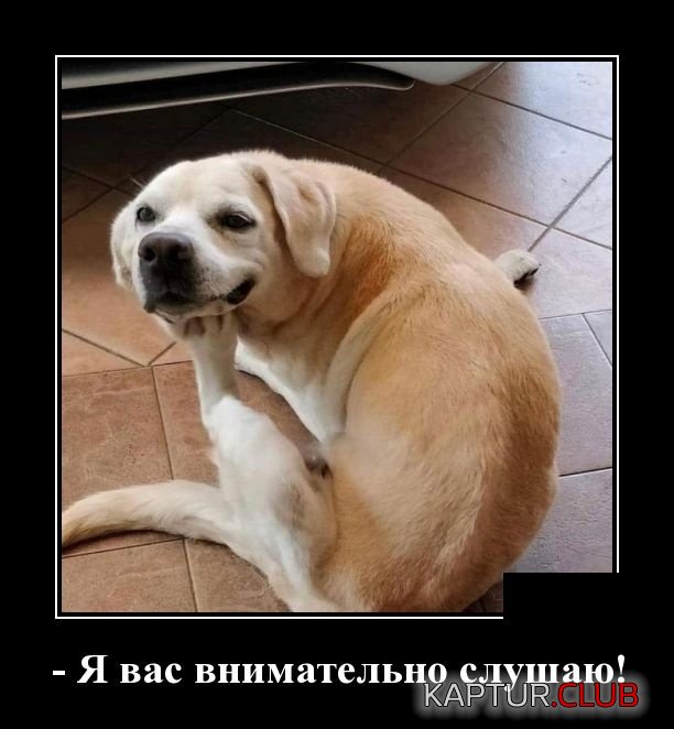 1551084564_demotivatory_06.jpg | Рено Каптур Клуб Россия | Форум KAPTUR.SU