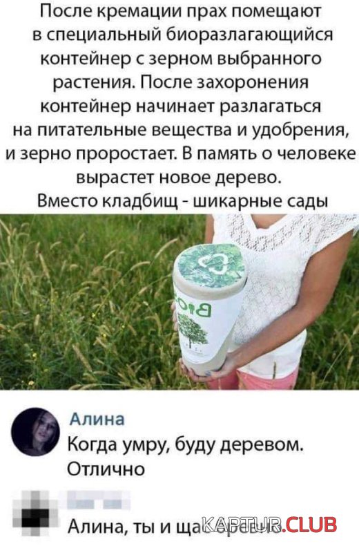 1551084623_podborka_vecher_13.jpg | Рено Каптур Клуб Россия | Форум KAPTUR.SU