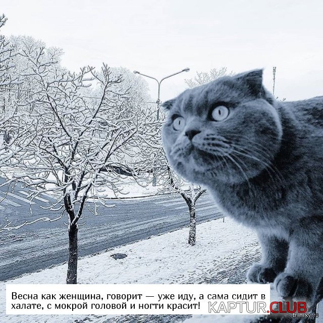 1551350657_perviy_den_vesni_10.jpg | Рено Каптур Клуб Россия | Форум KAPTUR.SU