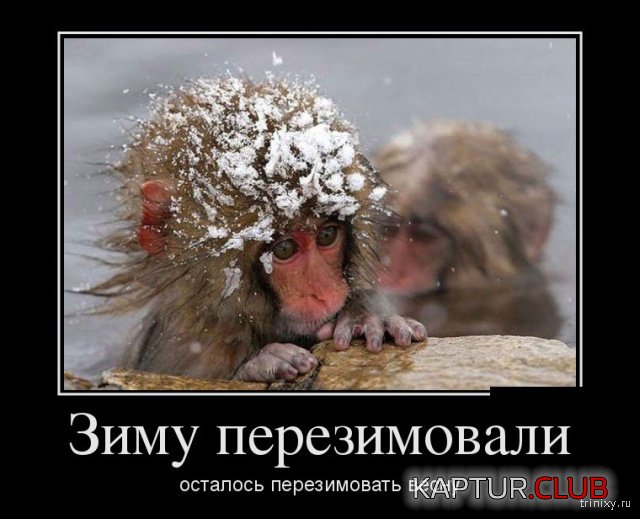 1551350663_perviy_den_vesni_04.jpg | Рено Каптур Клуб Россия | Форум KAPTUR.SU