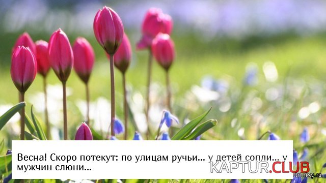 1551350685_perviy_den_vesni_08.jpg | Рено Каптур Клуб Россия | Форум KAPTUR.SU