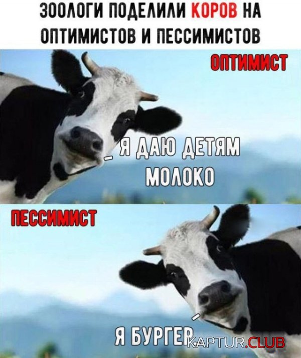 1551383585_podborka_dnevnaya_12.jpg | Рено Каптур Клуб Россия | Форум KAPTUR.SU