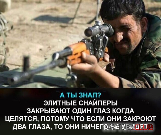 1551383627_podborka_dnevnaya_08.jpg | Рено Каптур Клуб Россия | Форум KAPTUR.SU