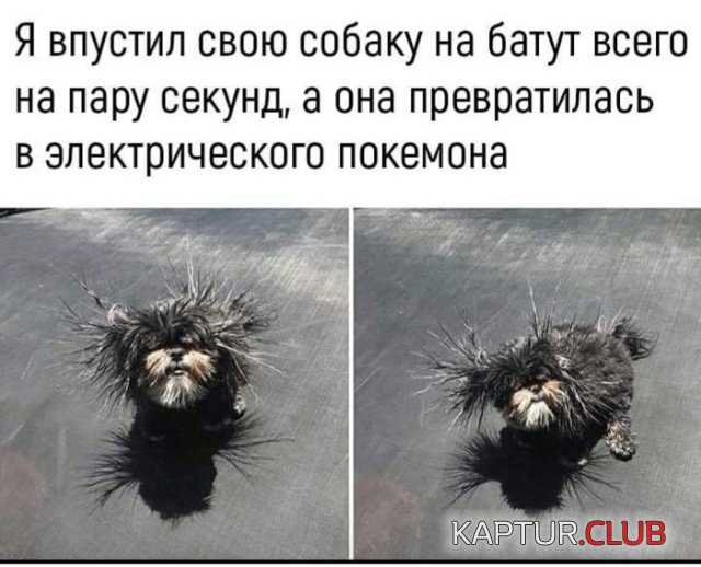 1551518684_kartinki_20.jpg | Рено Каптур Клуб Россия | Форум KAPTUR.SU