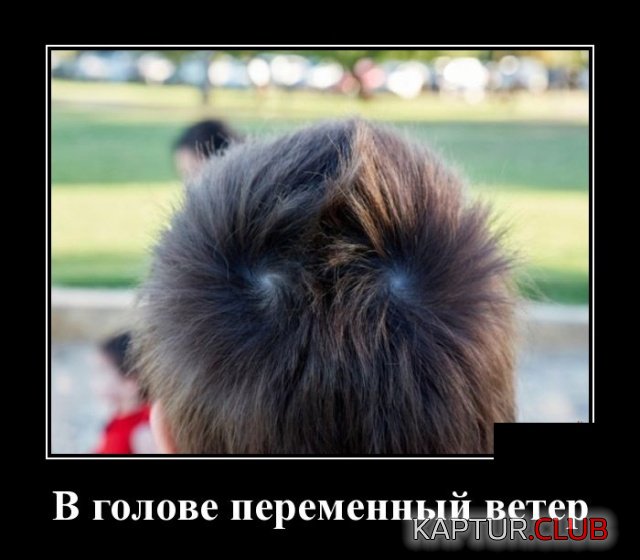 1552289456_demotivatory_07.jpg | Рено Каптур Клуб Россия | Форум KAPTUR.SU