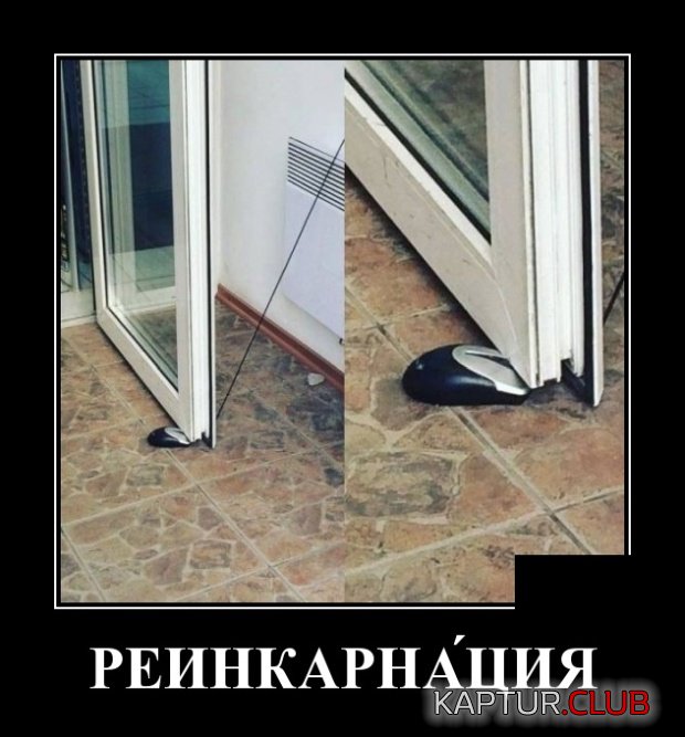 1552289512_demotivatory_26.jpg | Рено Каптур Клуб Россия | Форум KAPTUR.SU