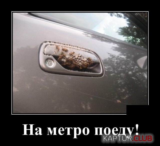 1552289525_demotivatory_01.jpg | Рено Каптур Клуб Россия | Форум KAPTUR.SU