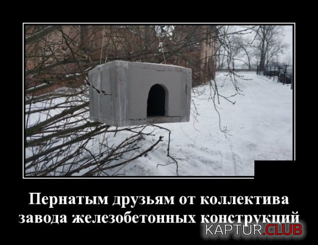 1552290807_jumor_07.jpg | Рено Каптур Клуб Россия | Форум KAPTUR.SU