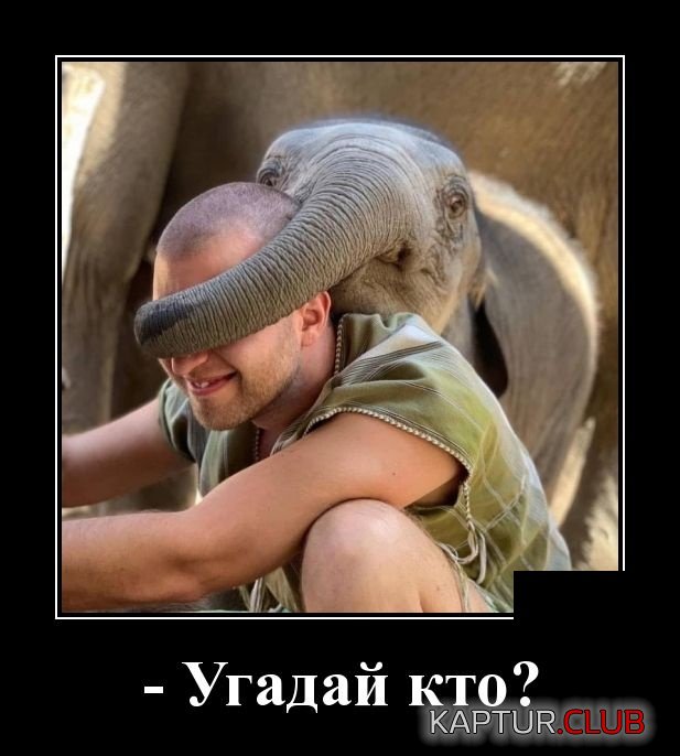 1552323298_demotivatory_16.jpg | Рено Каптур Клуб Россия | Форум KAPTUR.SU