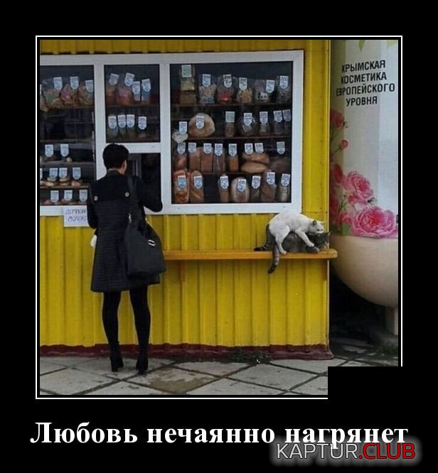 1552323299_demotivatory_14.jpg | Рено Каптур Клуб Россия | Форум KAPTUR.SU