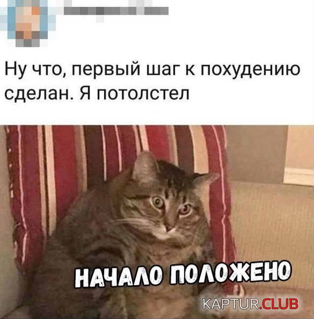 1552810993_podborka_21.jpg | Рено Каптур Клуб Россия | Форум KAPTUR.SU