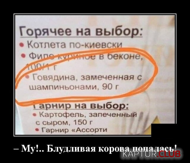 1552825730_demotivatory_06.jpg | Рено Каптур Клуб Россия | Форум KAPTUR.SU