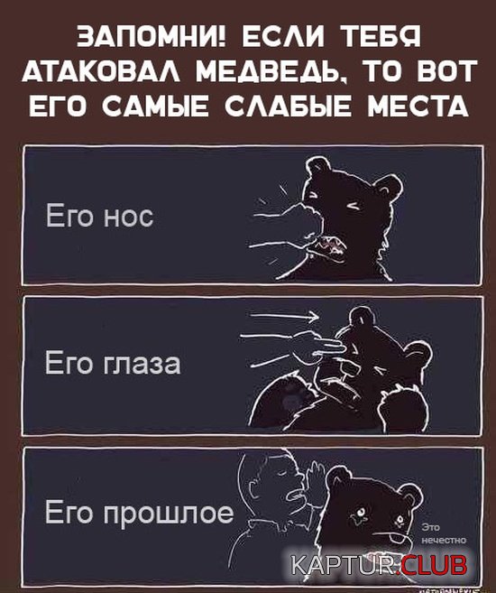 1552827003_1552160595_kartinki_13.jpg | Рено Каптур Клуб Россия | Форум KAPTUR.SU