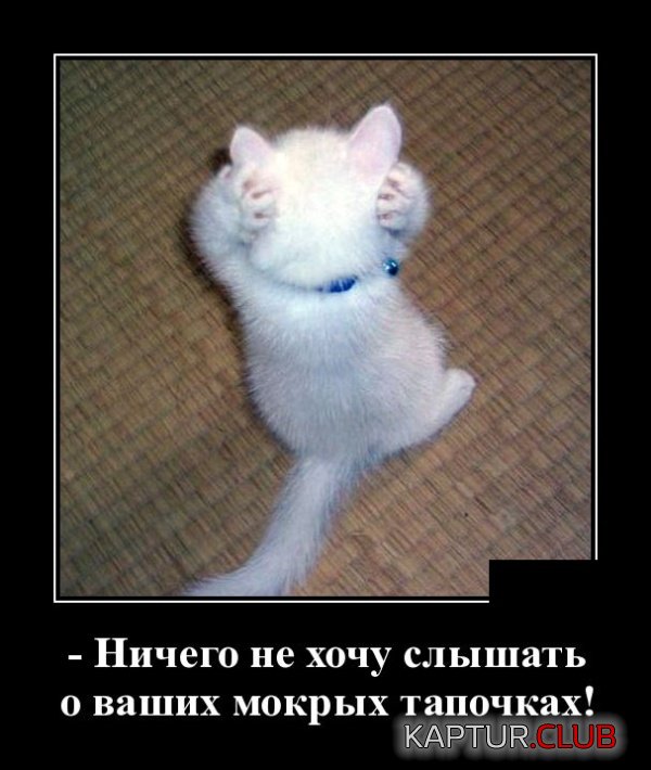 1553074034_demotivatory_29.jpg | Рено Каптур Клуб Россия | Форум KAPTUR.SU