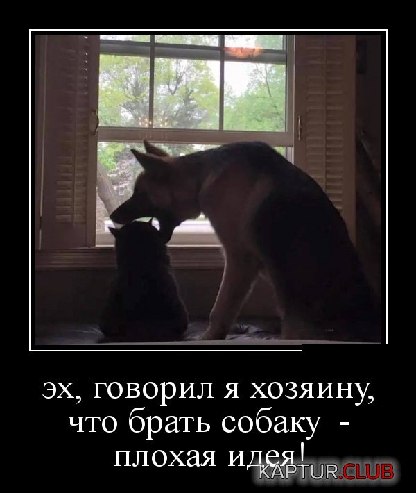 1553074055_demotivatory_17.jpg | Рено Каптур Клуб Россия | Форум KAPTUR.SU