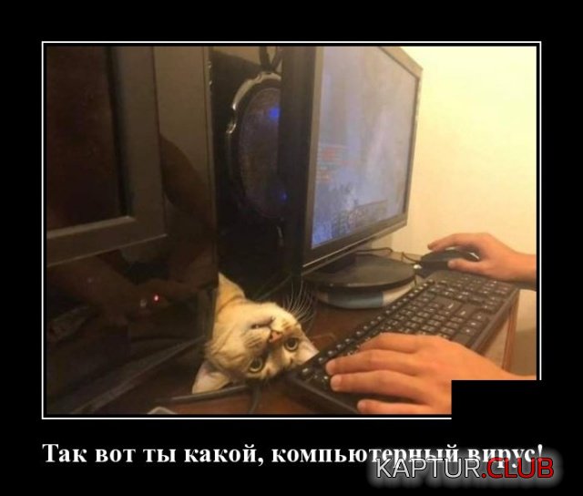 1553076897_demotivatory_03.jpg | Рено Каптур Клуб Россия | Форум KAPTUR.SU